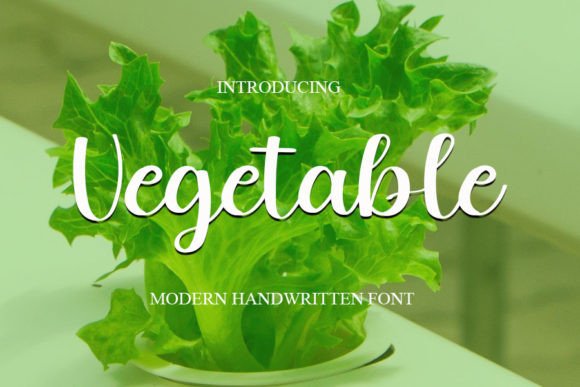 Vegetable: A Handwritten Font That Feels Human, Not Hasty