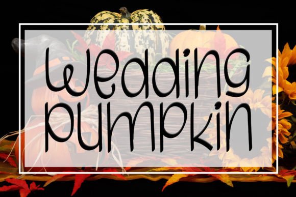 Wedding Pumpkin: A Playful Script Font for Editorial Charm